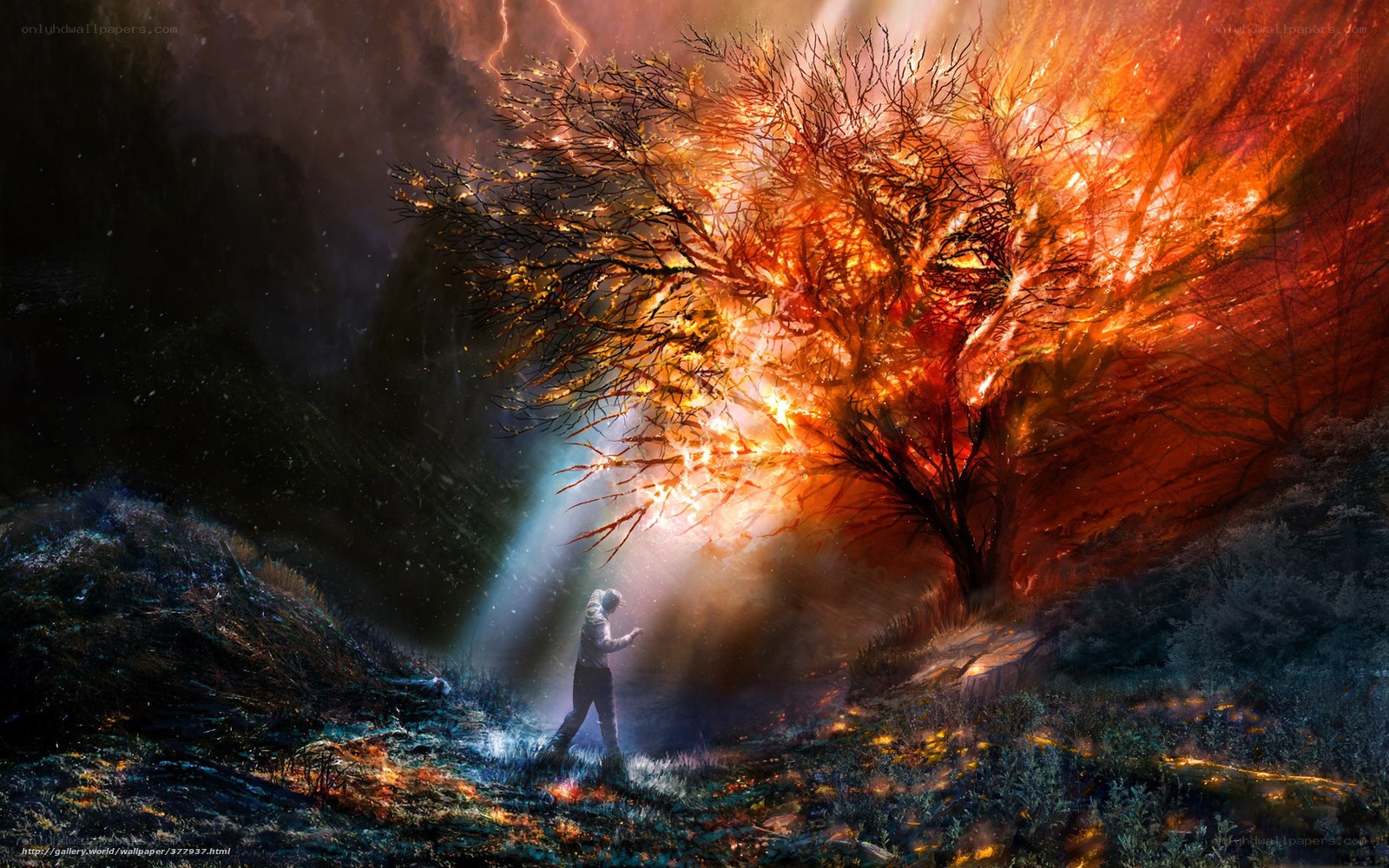 Person near a burning tree