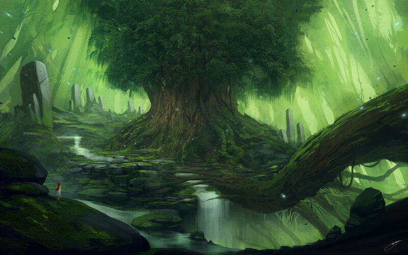 Person Near Ancient Tree