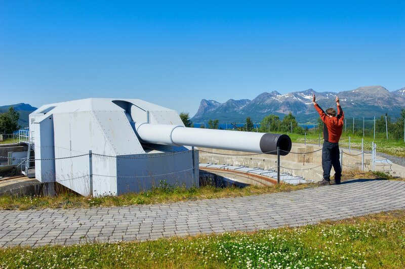 Person Near Artillery Gun