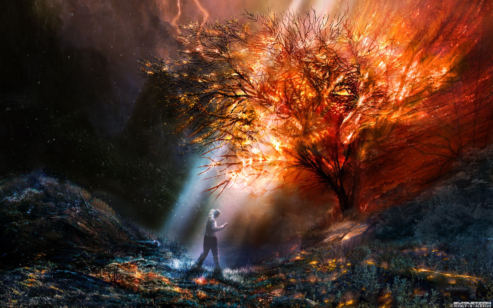 person near burning tree