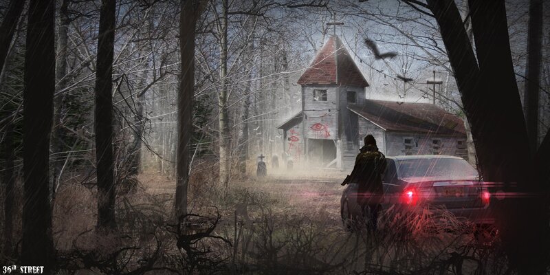 Person Near Car in Forest