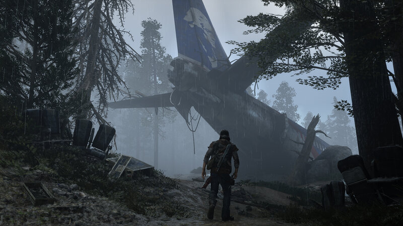 Person Near Crashed Plane