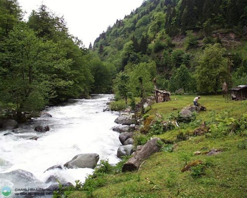 Person Near River — Green