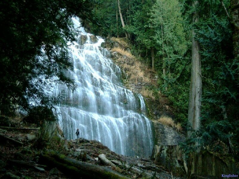 Person Near Waterfall — Green, Serene, Photograph