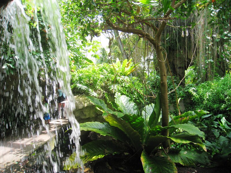 Person Near Waterfall — Green