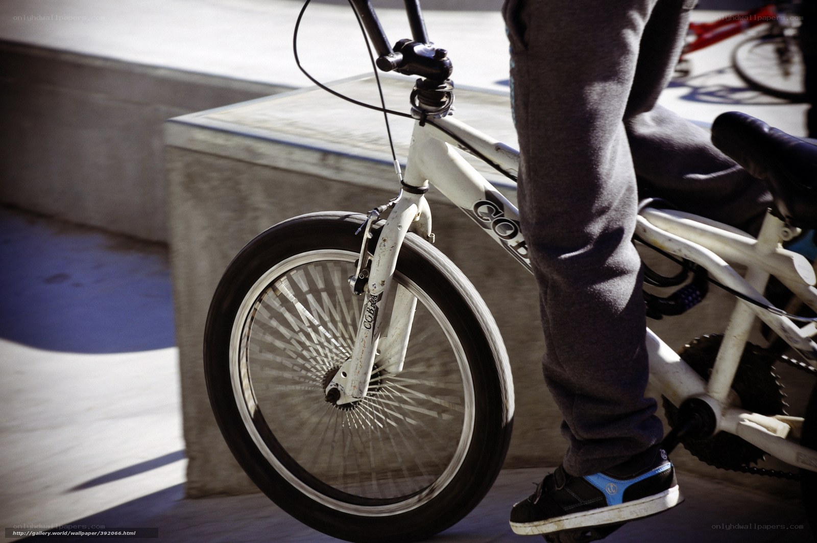 person on a BMX bike