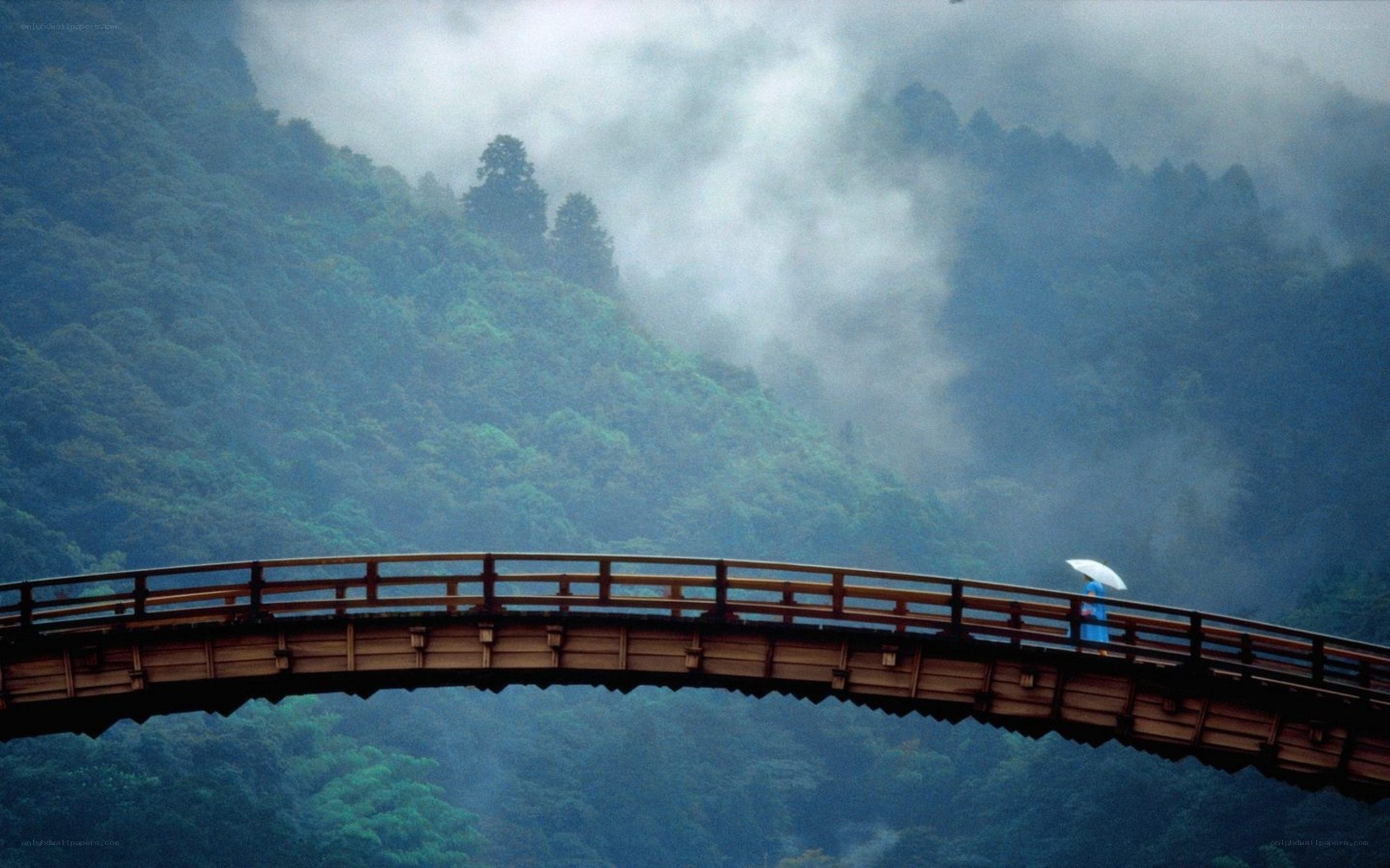 Person on a bridge in mist