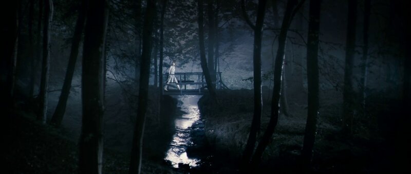 person on a bridge in the forest