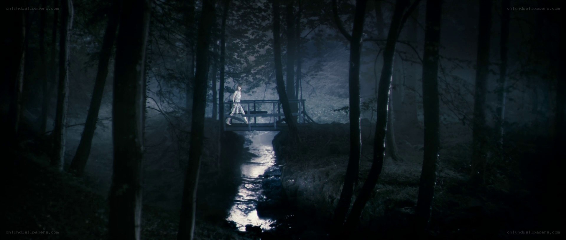 person on a bridge in the forest