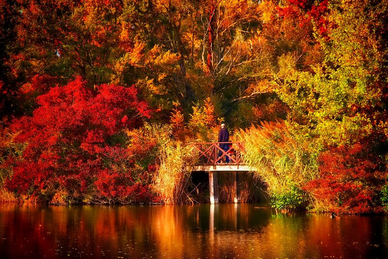 Person on a Bridge — Red