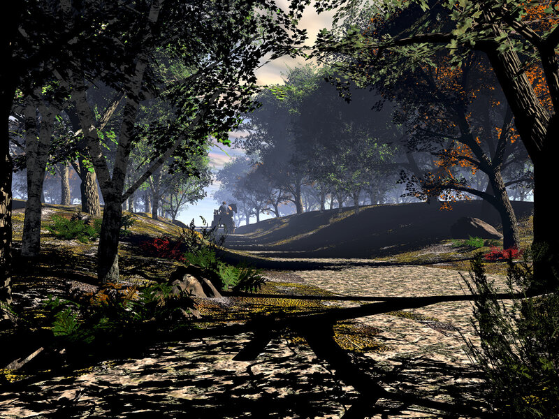 Person on a Cart in Forest