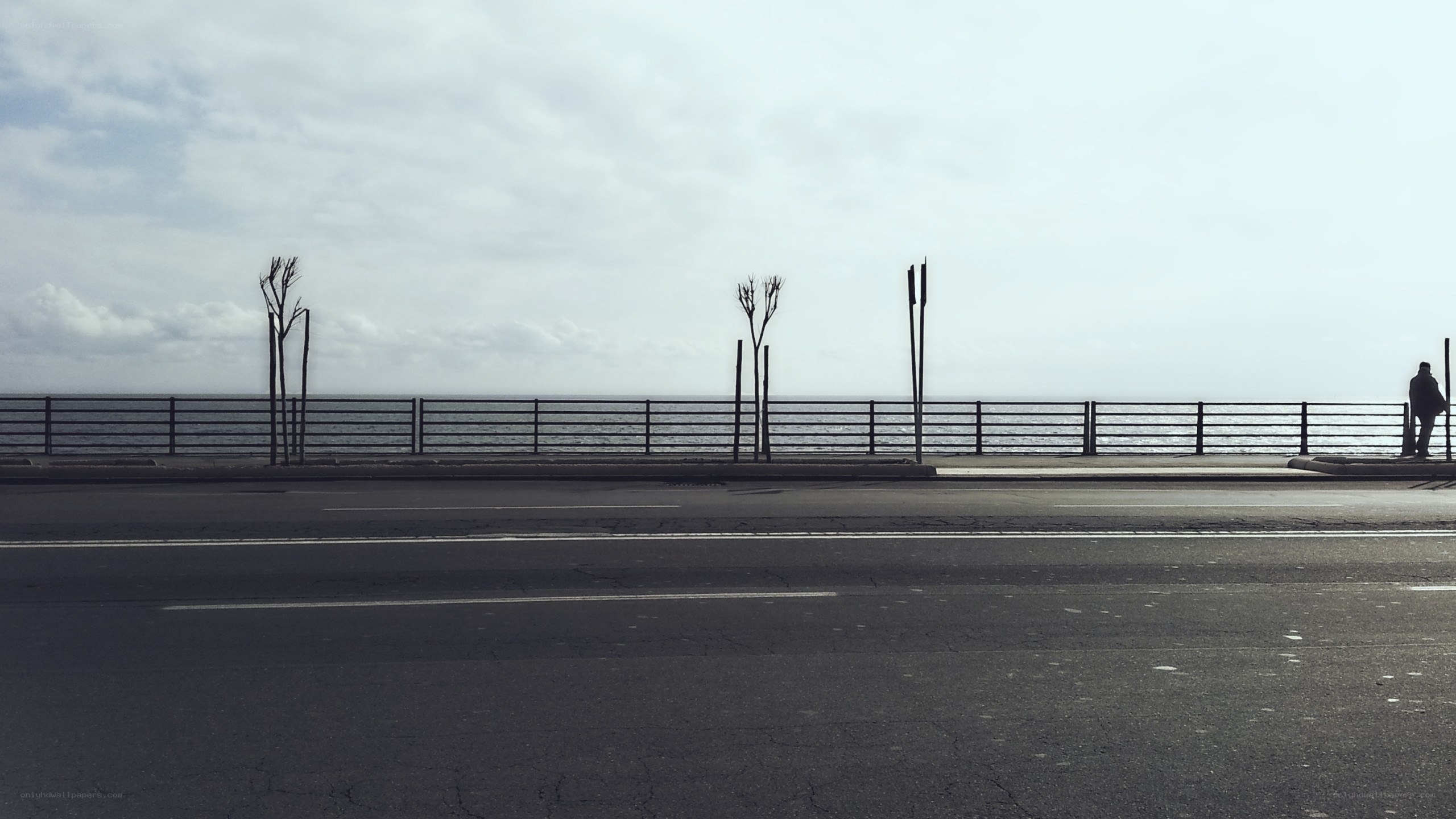 person on a coastal road