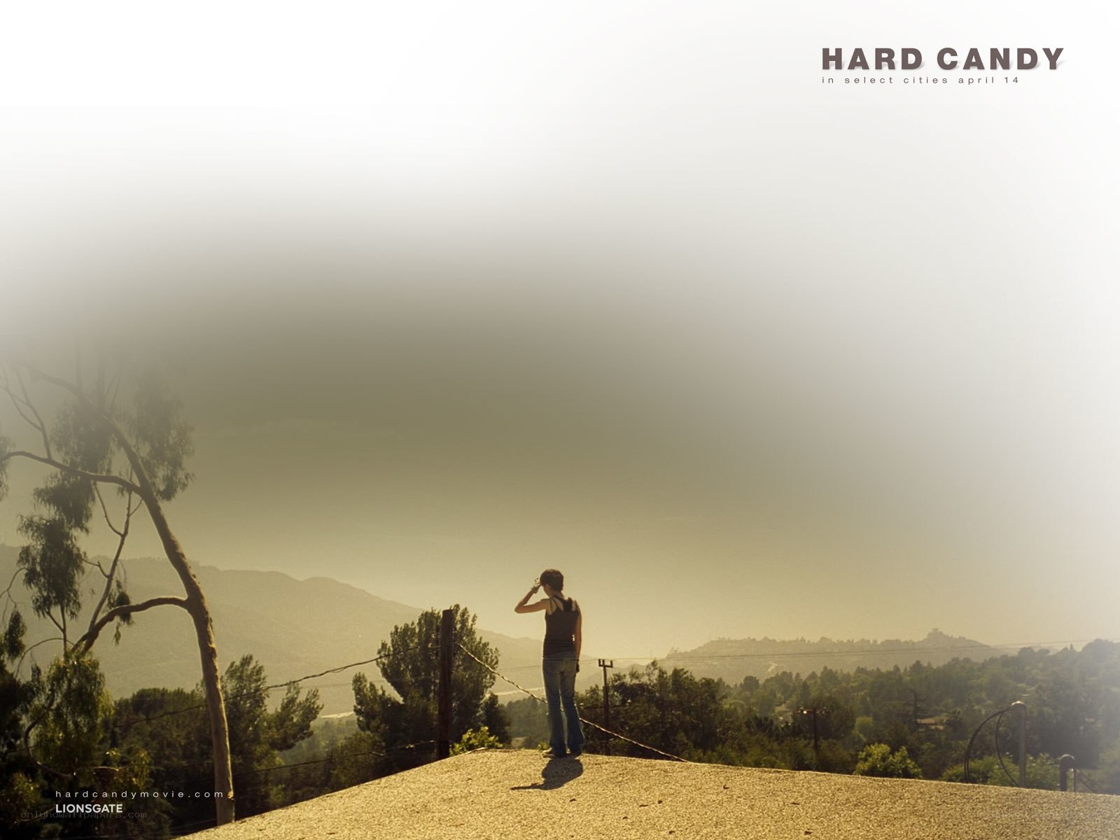 person on a hill overlooking a valley
