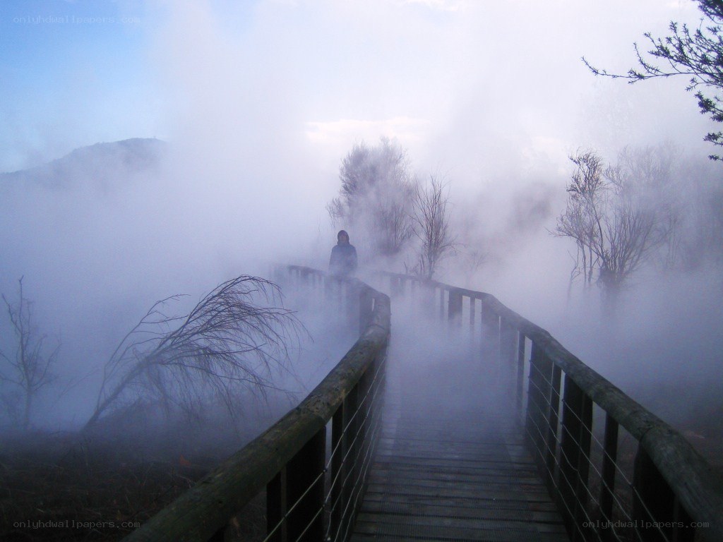 Person on a misty boardwalk