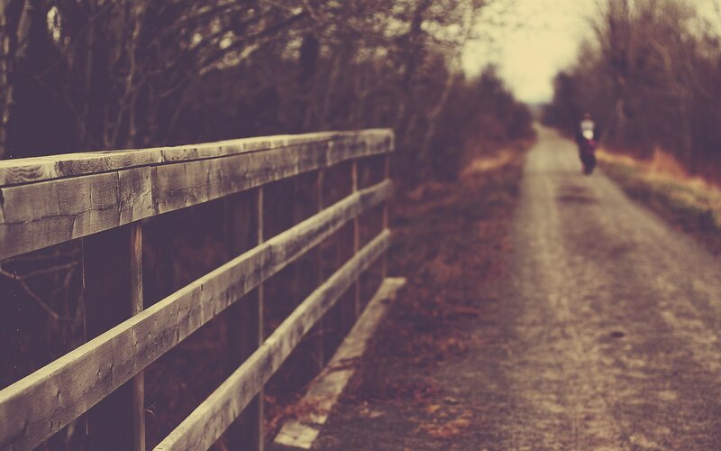person on a path with wooden fence