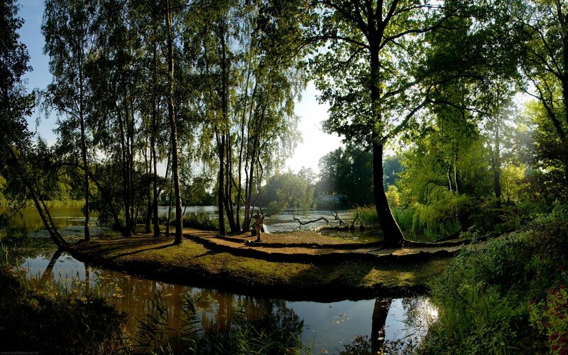 Person on a Pond Island