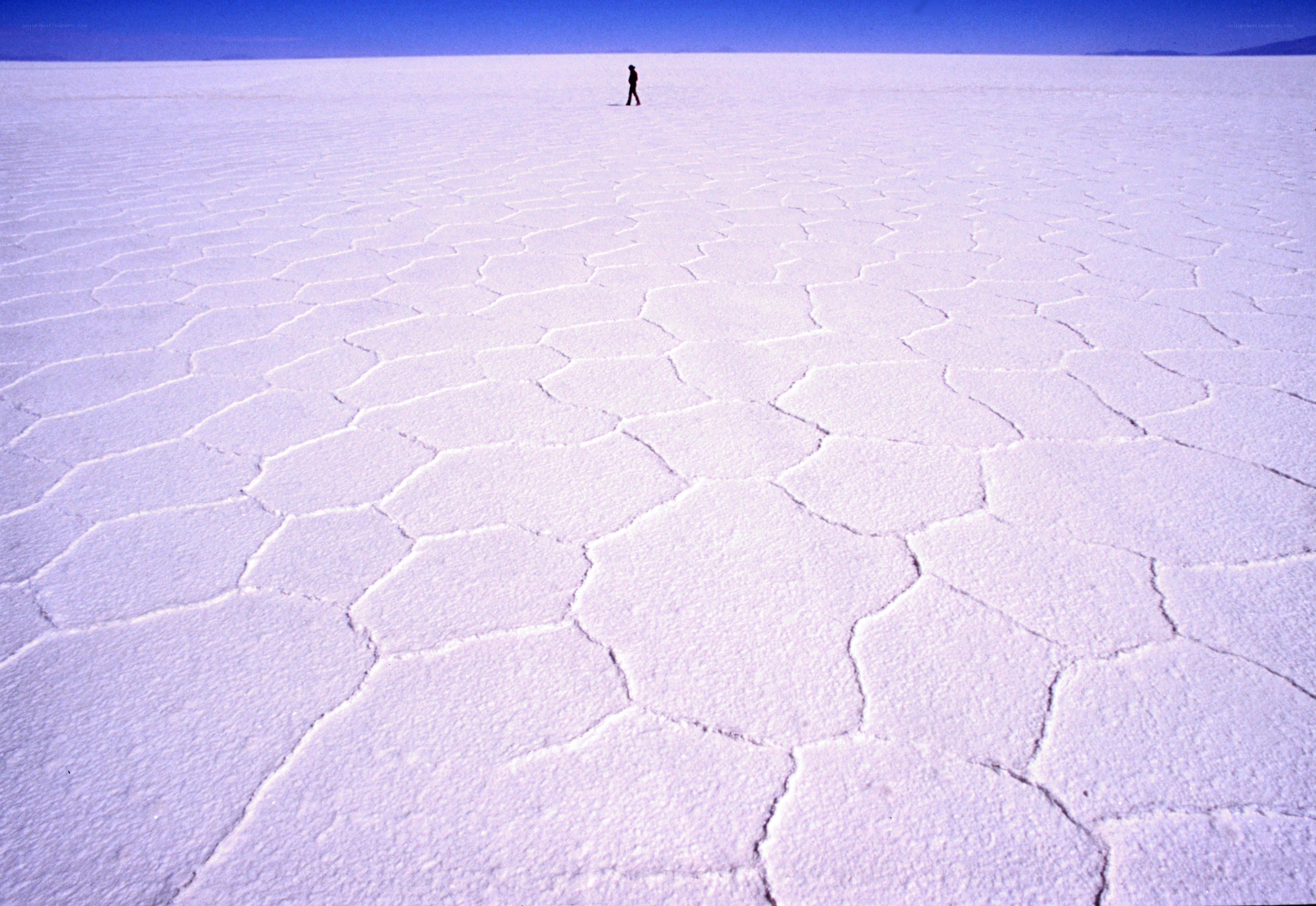 Person on a salt flat