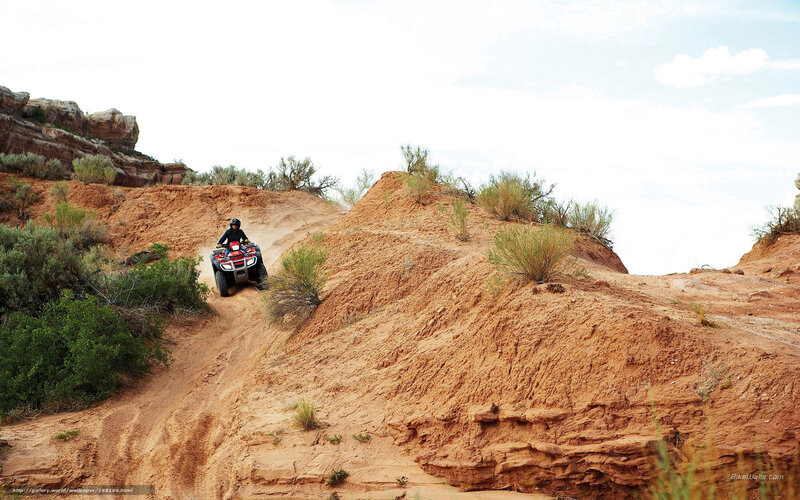 Person on ATV — Brown