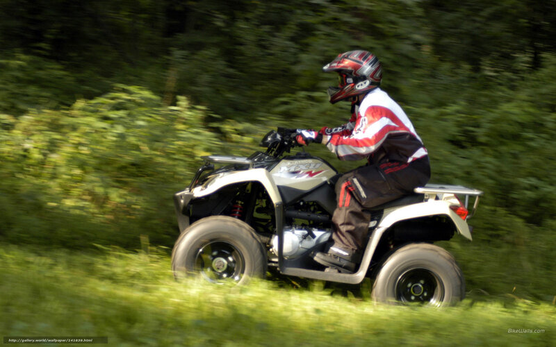 Person on ATV — Green, Active
