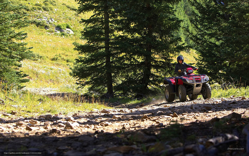 Person on ATV — Green, Outdoor