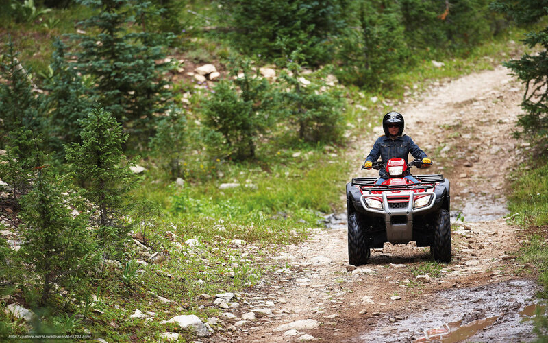 Person on ATV — Green