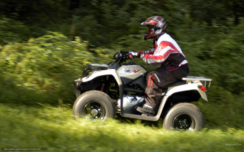 Person on ATV in Forest — Green, Active