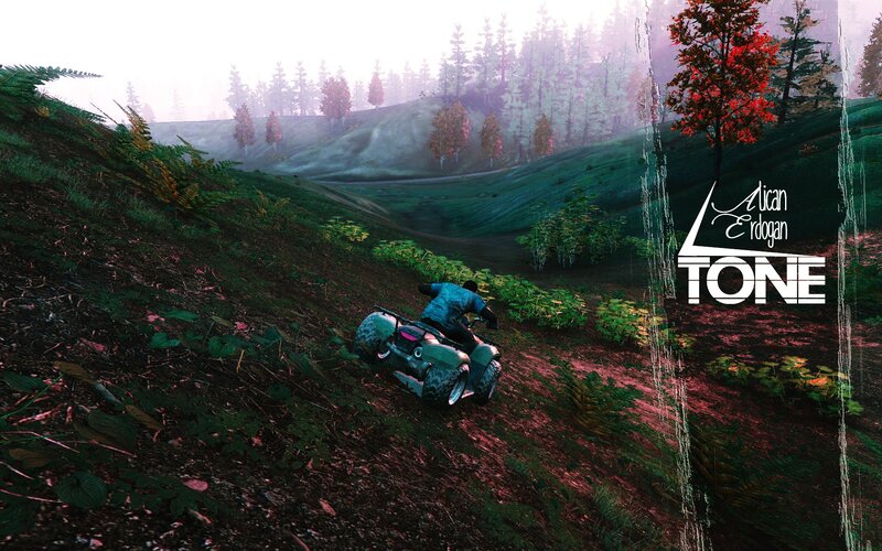 Person on ATV in Forest — Green, Misty