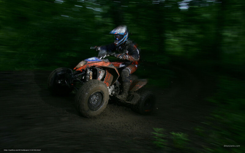 Person on ATV in Forest — Green
