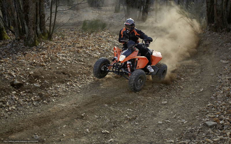 Person on ATV in Forest — Orange, Dynamic, Autumn