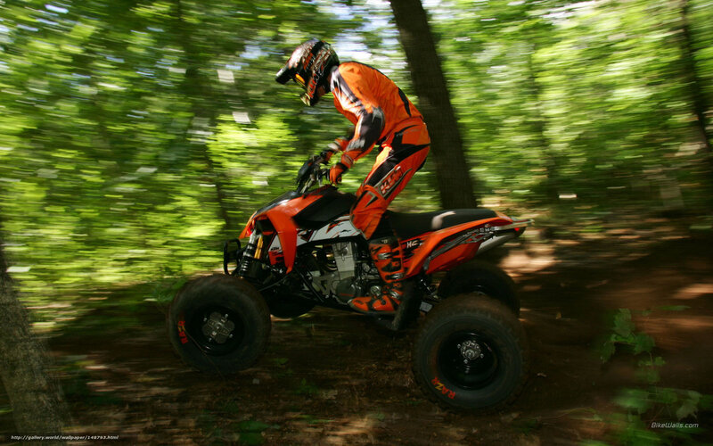 Person on ATV in Forest — Orange, Dynamic