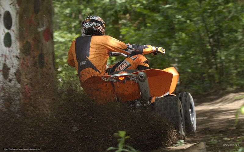 Person on ATV in Forest — Orange