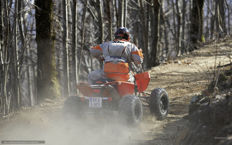 Person on ATV in Forest