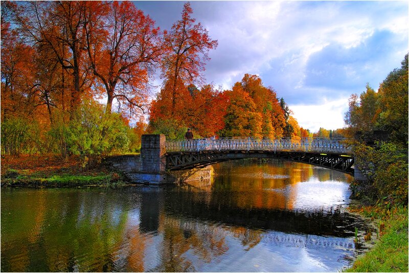 Person on Autumn Bridge
