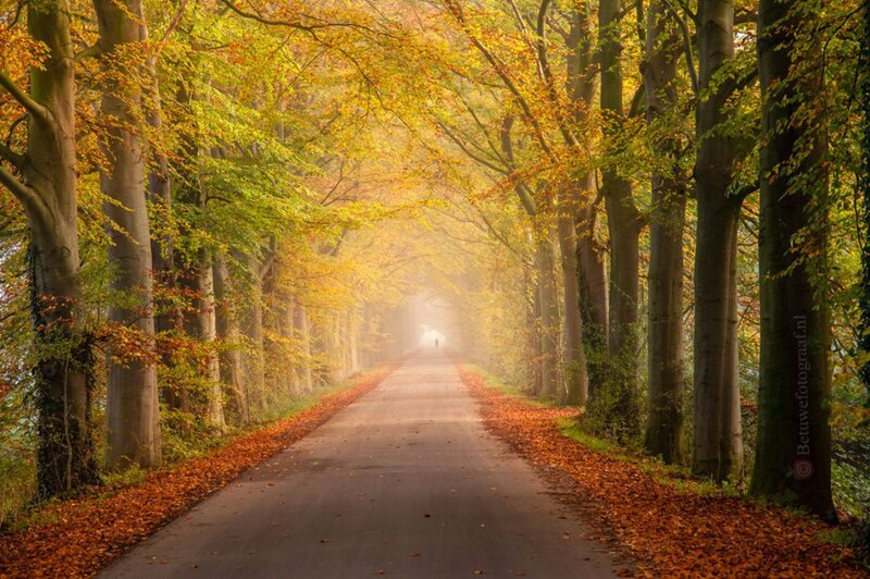 Person on Autumn Road