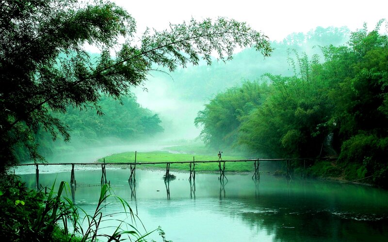 Person on Bamboo Bridge — Green