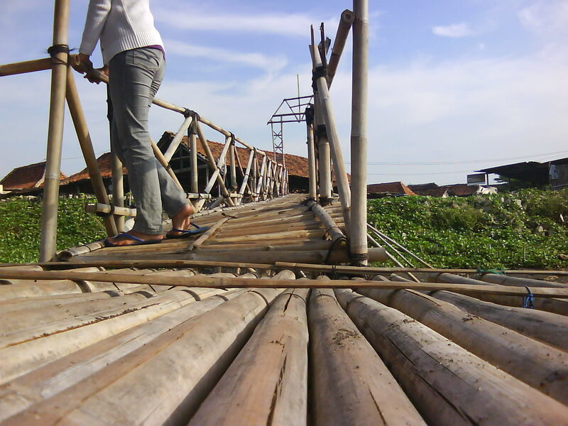 Person on bamboo bridge