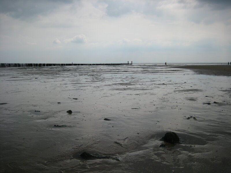 Person on Beach at Low Tide