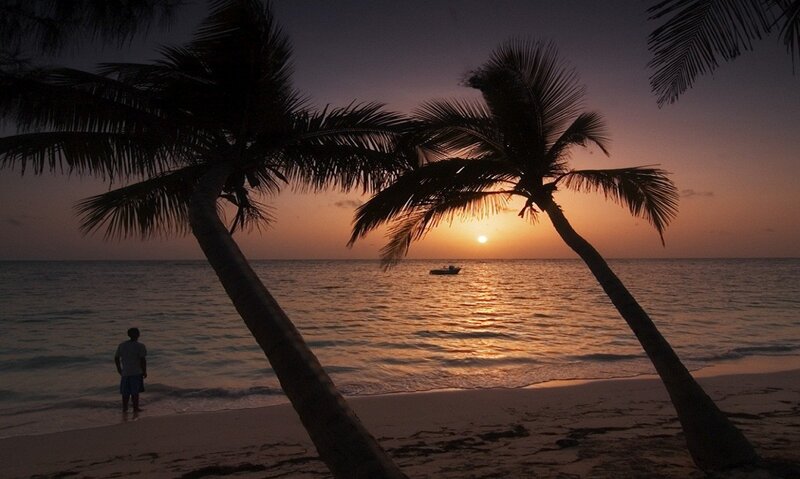 Person on Beach at Sunset — Orange, Serene, Photograph, Palm Trees