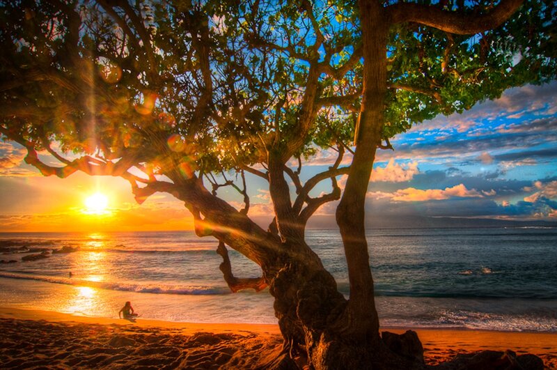 Person on Beach at Sunset — Orange, Serene