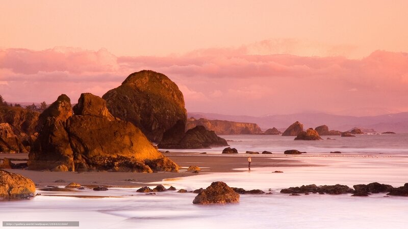 Person on Beach at Sunset — Pink, Serene, Photograph, Rocks, Ocean