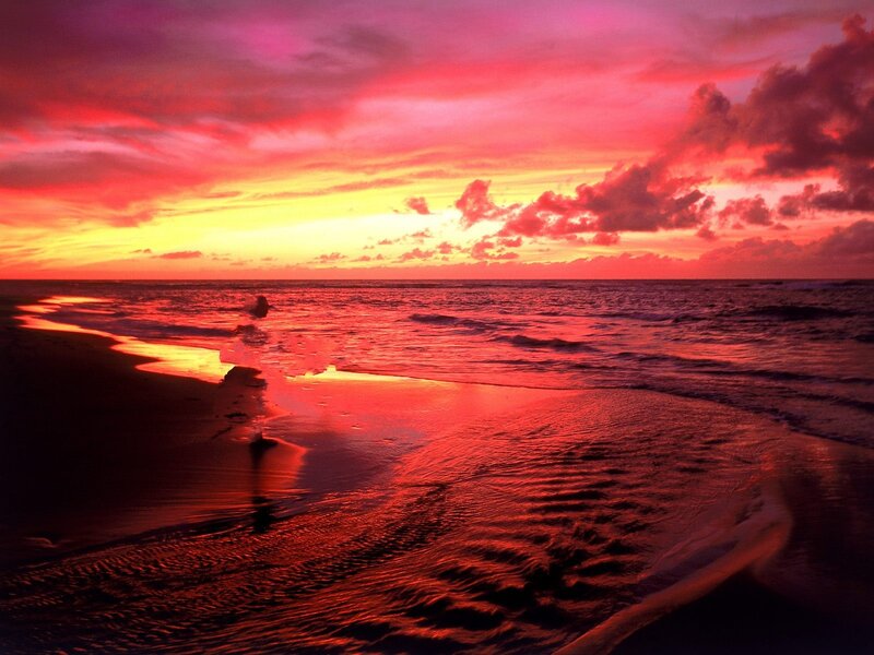 Person on Beach at Sunset — Red, Dramatic