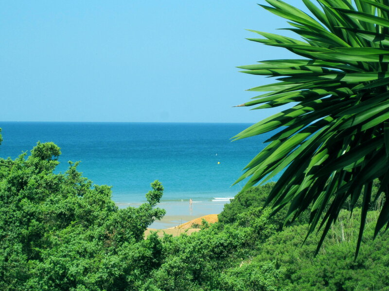 Person on Beach — Blue, Serene, Afternoon