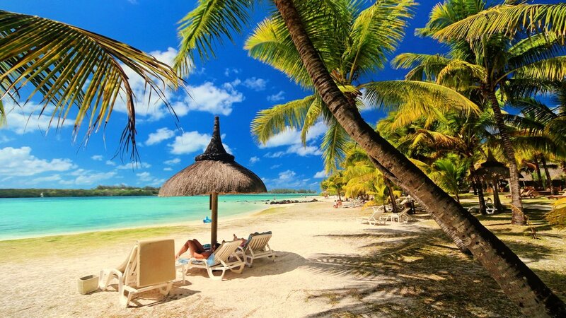 Person on Beach Chair — Blue, Relaxed, Afternoon, Photograph, Palm Tree