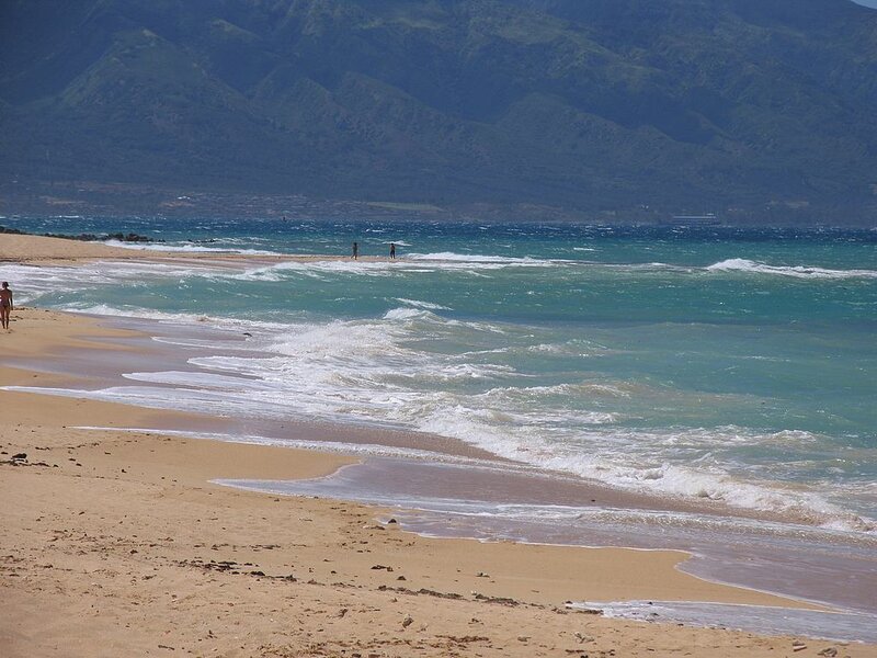 Person on Beach