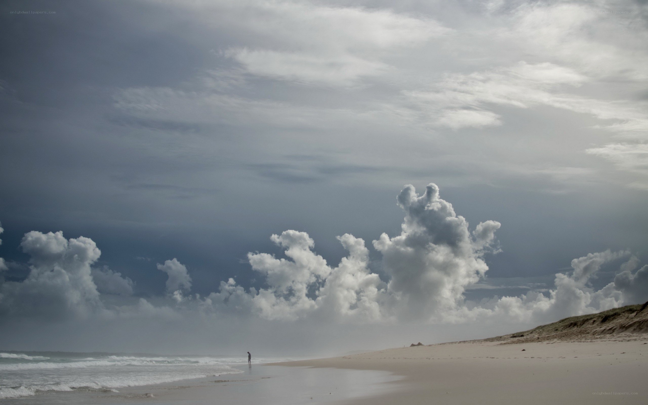 Person on beach under stormy sky