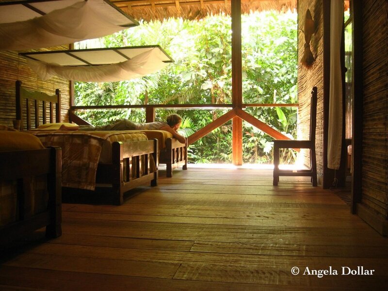 Person on Bed in Jungle