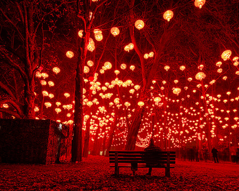 Person on Bench at Night — Red