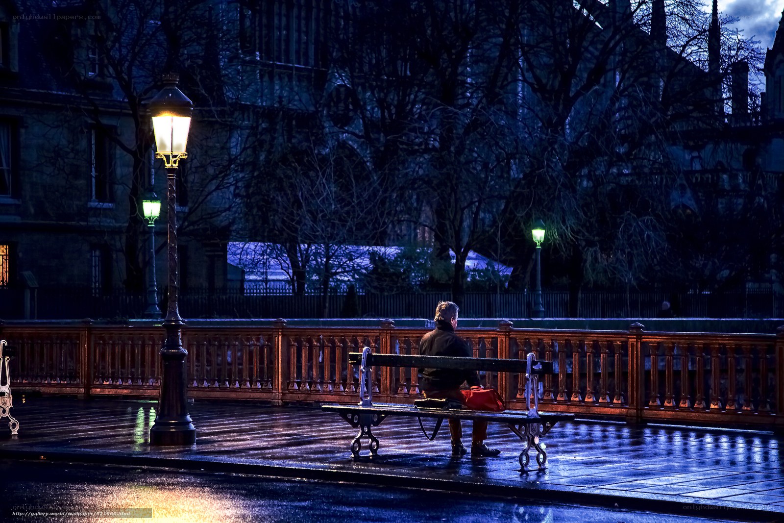 Person on bench at night