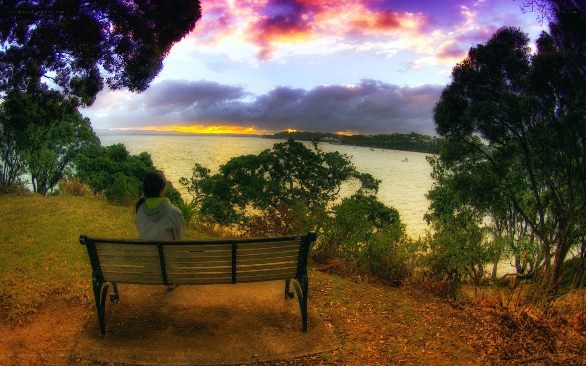 Person on bench at sunset