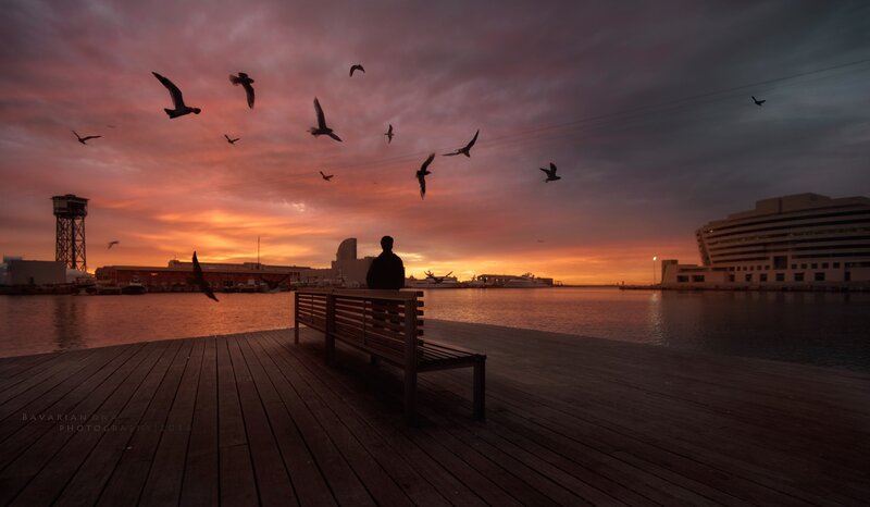 Person on Bench at Sunset — Orange, Dramatic, Photograph